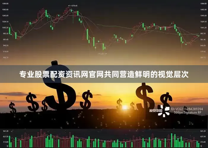 专业股票配资资讯网官网共同营造鲜明的视觉层次