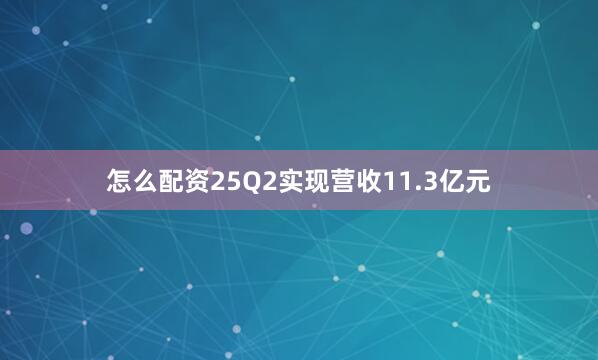 怎么配资25Q2实现营收11.3亿元
